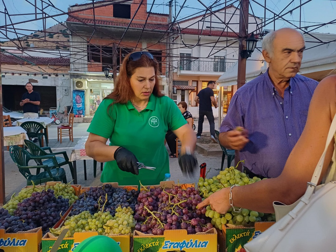Με μεγάλη επιτυχία και συμμετοχή η 1η Γιορτή Τρύγου στο Δαμάσι (ΦΩTO) Με μεγάλη επιτυχία και συμμετοχή η 1η Γιορτή Τρύγου στο Δαμάσι (ΦΩTO)