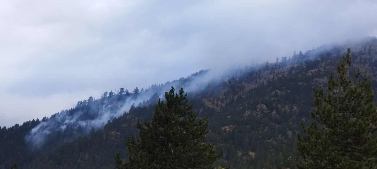 Γρεβενά: Σε εξέλιξη η πυρκαγιά στην Βάλια Κάλντα (φωτ. - βίντεο) Γρεβενά: Σε εξέλιξη η πυρκαγιά στην Βάλια Κάλντα (φωτ. - βίντεο)