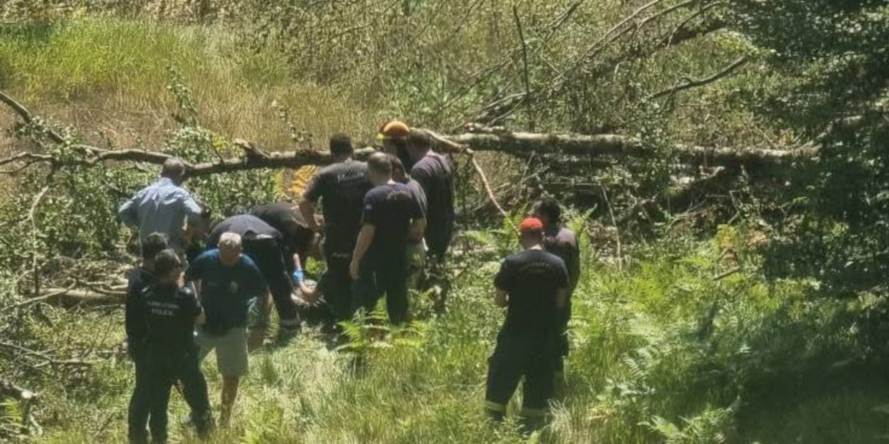 Μέτσοβο: Κορμός οξιάς καταπλάκωσε ξυλοκόπο [εικόνα]