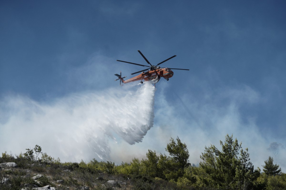 Φωτιά σε δασική έκταση στο Μυρόφυλλο Τρικάλων Φωτιά σε δασική έκταση στο Μυρόφυλλο Τρικάλων