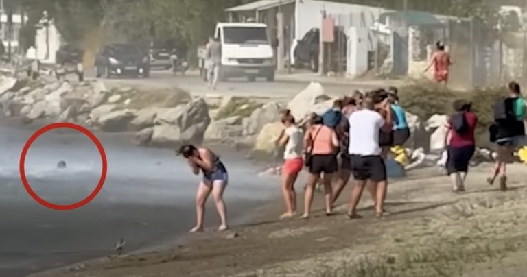 Σκιάθος: Τουρίστας εκτινάχθηκε στη θάλασσα από την ώθηση αεροσκάφους κατά την απογείωση (video)