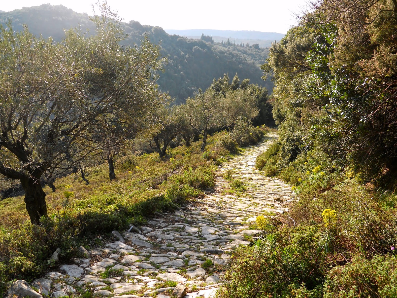 Καλά στην υγεία τους εντοπίστηκαν οι Βέλγοι που χάθηκαν σε μονοπάτι του Πηλίου Καλά στην υγεία τους εντοπίστηκαν οι Βέλγοι που χάθηκαν σε μονοπάτι του Πηλίου