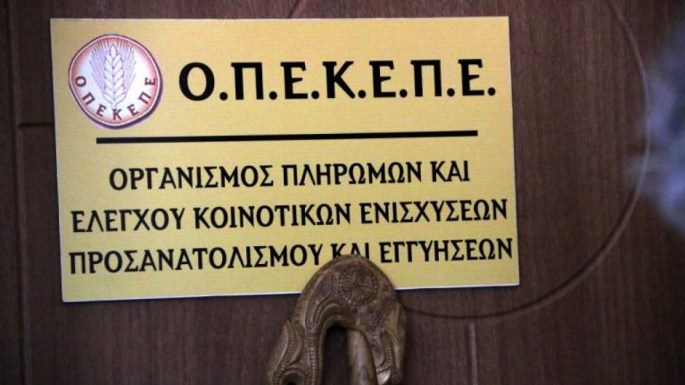 Με το «ελληνικό αγροτικό σκάνδαλο» ασχολείται ο Guardian – Οι μπανάνες που «φύτρωσαν» στον Όλυμπο, ο λογαριασμός και η έρευνα Με το «ελληνικό αγροτικό σκάνδαλο» ασχολείται ο Guardian – Οι μπανάνες που «φύτρωσαν» στον Όλυμπο, ο λογαριασμός και η έρευνα