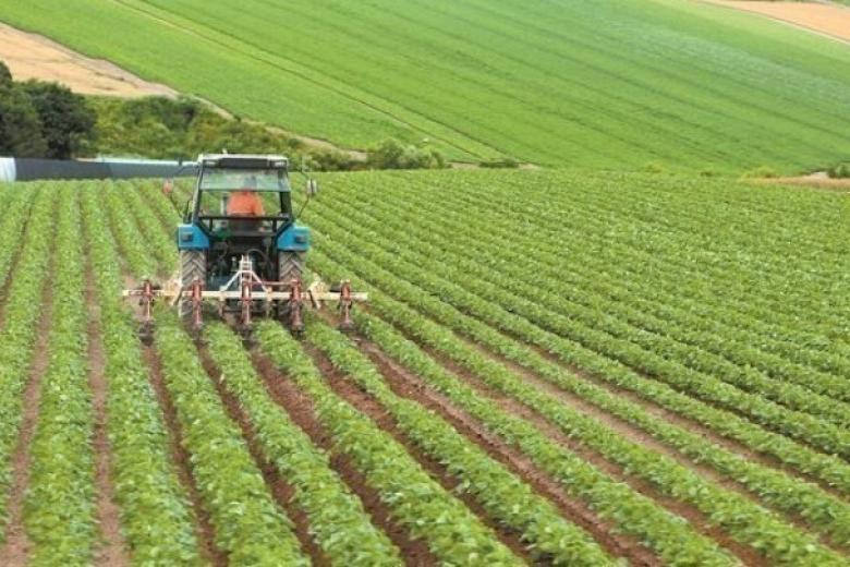 Πρωτιά της Ελλάδας στη μείωση τιμών παραγωγού -Η σκιά της κακοκαιρίας «Ντάνιελ» Πρωτιά της Ελλάδας στη μείωση τιμών παραγωγού -Η σκιά της κακοκαιρίας «Ντάνιελ»