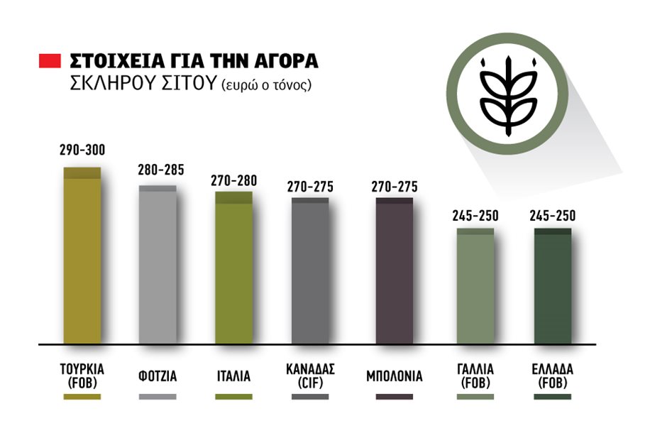 Στον Καραγιώργο το σκληρό σιτάρι της ΕΑΣ Ορεστιάδας, άλλη τιμή κάθε βδομάδα, έναρξη συμφωνίας με 21 λεπτά