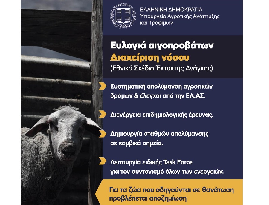 Ενημερωτικό για την ευλογιά των προβάτων - Τα μέτρα για τον περιορισμό και εκρίζωση της νόσου