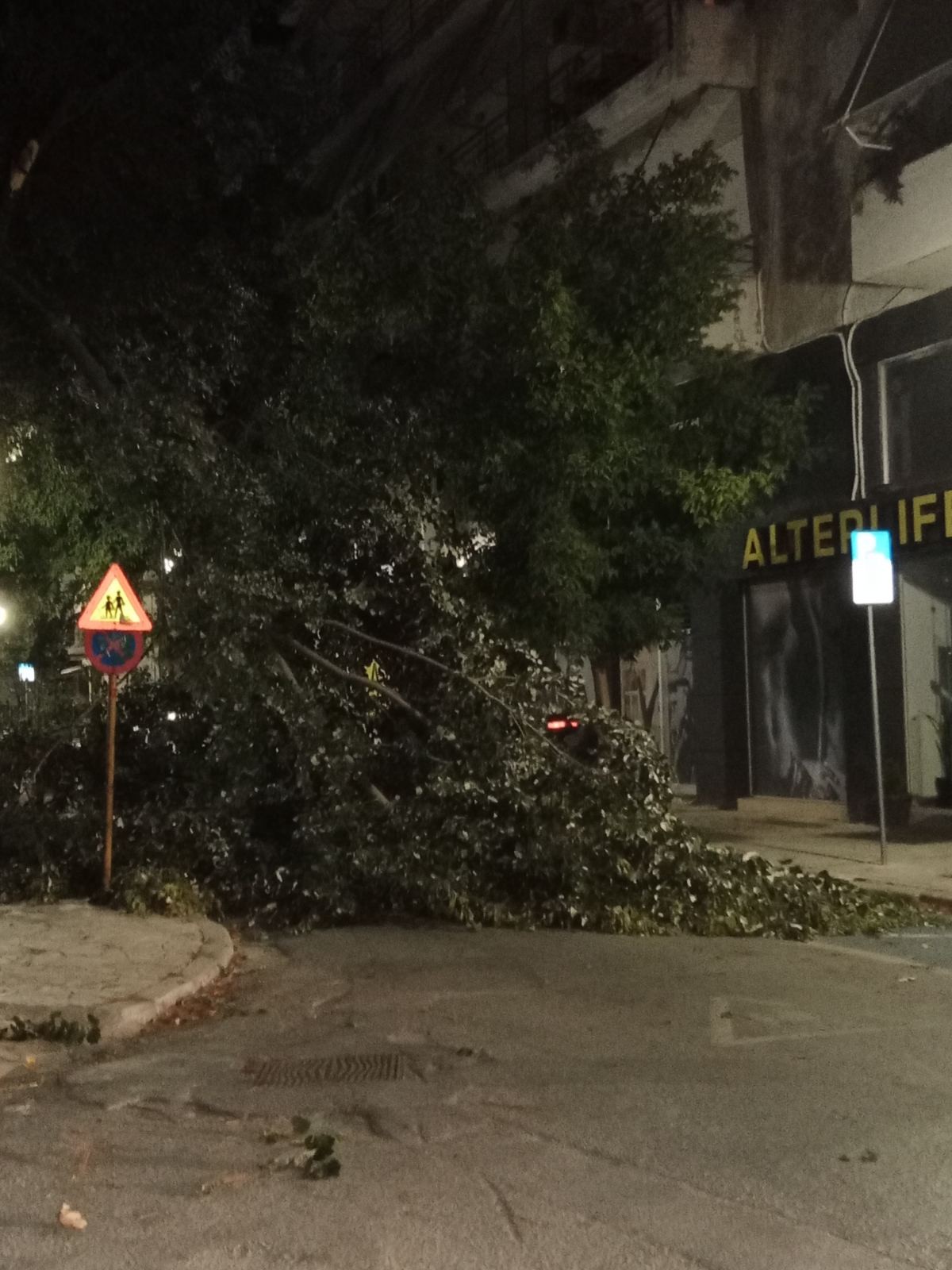 Δύο μέρες στους δρόμους συνεργεία του Δήμου Βόλου για τα σπασμένα δέντρα