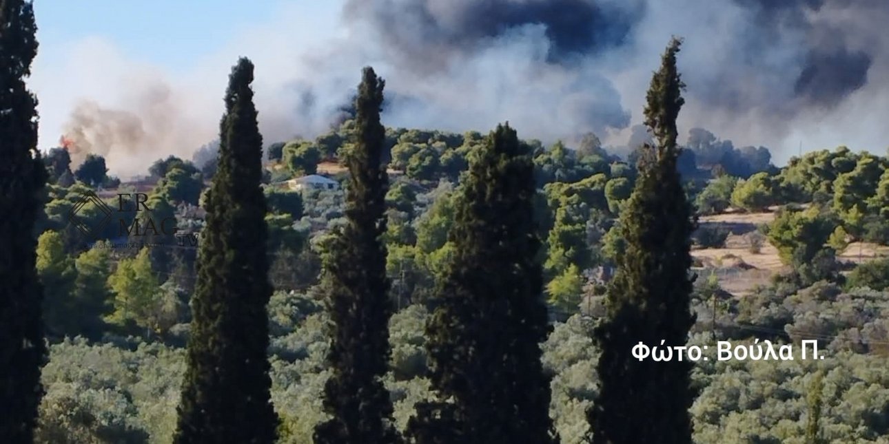 Αργολίδα: Φωτιά στην περιοχή Κουνούπι, καίει μια ανάσα από σπίτια -Ενισχύθηκαν οι δυνάμεις, εντολή για εκκένωση από το 112