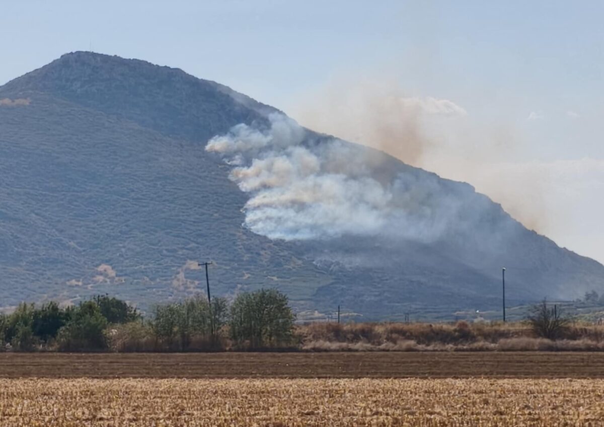 Σε εξέλιξη η φωτιά στο όρος Σούρλα στα Φάρσαλα- επιχειρούν και εναέρια μέσα Σε εξέλιξη η φωτιά στο όρος Σούρλα στα Φάρσαλα- επιχειρούν και εναέρια μέσα