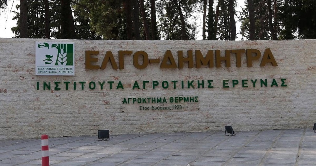 Ξεκινούν οι αιτήσεις για νέο επιδοτούμενο πρόγραμμα κατάρτισης ανέργων στη διαχείριση ζωονόσων από ΔΥΠΑ και ΕΛΓΟ-ΔΗΜΗΤΡΑ