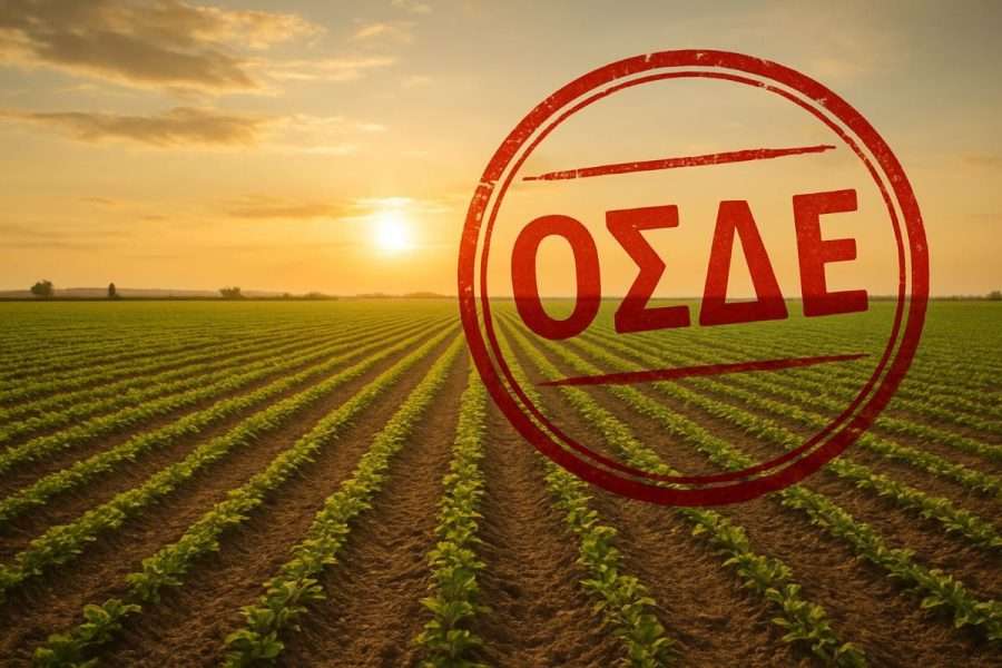 Παράταση έως τις 20 Οκτωβρίου για τις δηλώσεις ΑΤΑΚ στο ΟΣΔΕ 2025