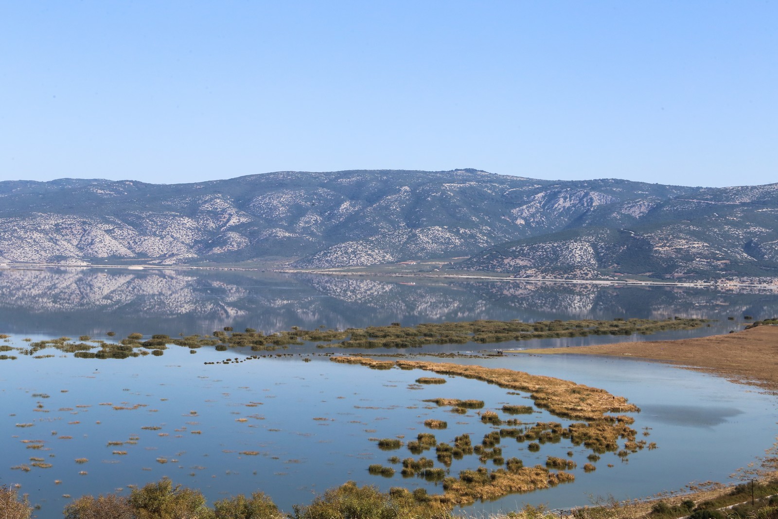Νέα καταγγελία για ΟΠΕΚΕΠΕ: Έδωσαν επιδότηση 18.000 ευρώ για... καλλιέργεια 336 στρεμμάτων στη λίμνη Κάρλα