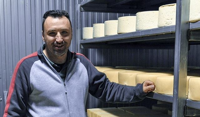 Τυροκόμοι Μαγνησίας: «Ούτε σταγόνα πρόβειου γάλακτος» – Σε κρίση η παραγωγή ΠΟΠ τυριών Τυροκόμοι Μαγνησίας: «Ούτε σταγόνα πρόβειου γάλακτος» – Σε κρίση η παραγωγή ΠΟΠ τυριών