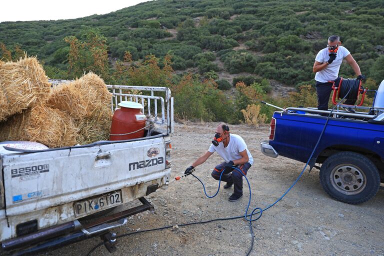 Σε απόγνωση οι κτηνοτρόφοι της Θεσσαλίας συνεδριάζουν  στον Τύρναβο για την ευλογιά