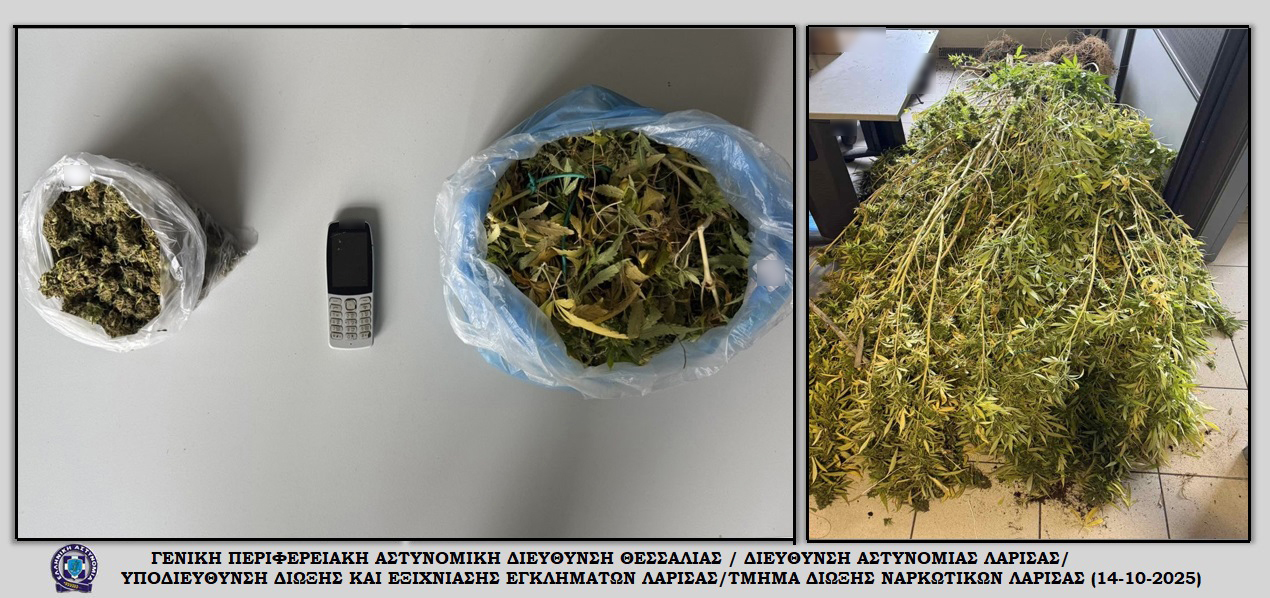 Συνελήφθη για καλλιέργεια κάνναβης στην ανενεργή επιχείρησή του στη Λάρισα (ΦΩΤΟ) Συνελήφθη για καλλιέργεια κάνναβης στην ανενεργή επιχείρησή του στη Λάρισα (ΦΩΤΟ)