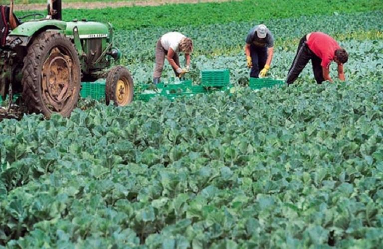 Σε δυσμενή θέση αγρότες και καταναλωτές Σε δυσμενή θέση αγρότες και καταναλωτές