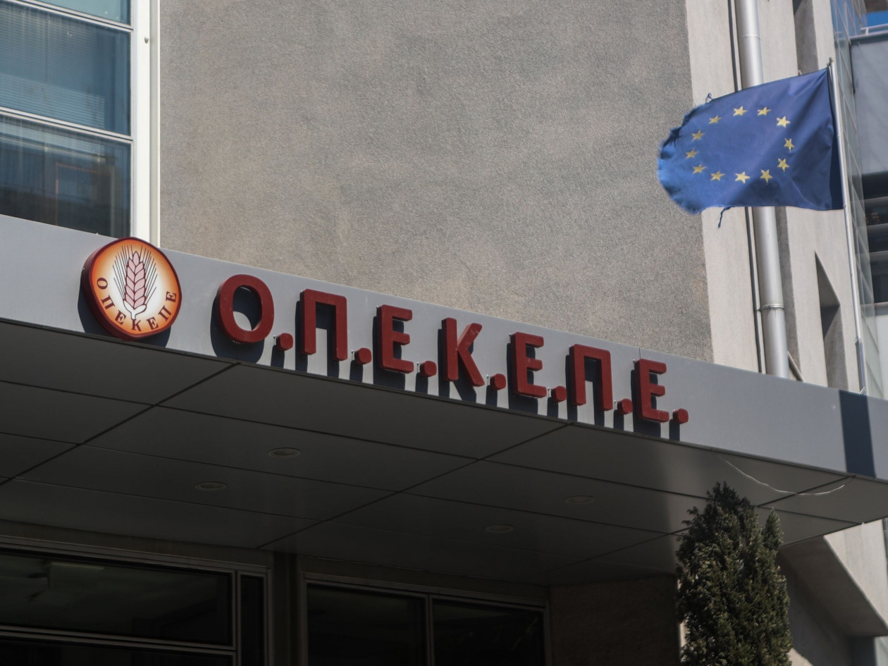 Σκάνδαλο ΟΠΕΚΕΚΕ: 37 συλλήψεις σε Αττική, Κρήτη, Έδεσσα, Γιαννιτσά, Θεσσαλονίκη για παράνομες επιδοτήσεις