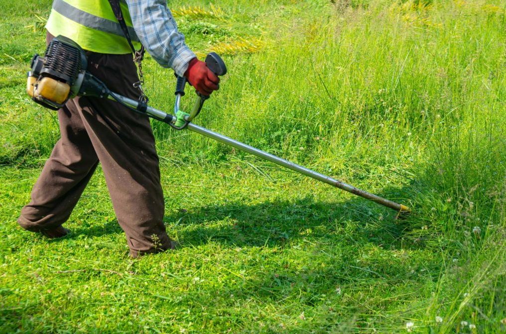 Υπάλληλος του Δ. Βόλου κινδυνεύει να χάσει το μάτι του – Τραυματίστηκε σοβαρά από πέτρα που εκτοξεύτηκε κατά την κοπή χόρτων