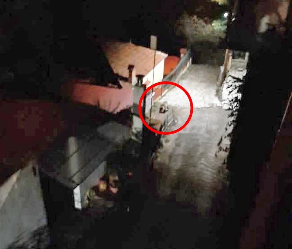 Αρκούδα εμφανίστηκε στον Ελληνόπυργο, νέα θέαση σε χωριό του Δήμου Μουζακίου (ΦΩΤΟ)!