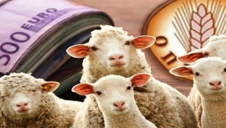 ΟΠΕΚΕΠΕ: Γυναίκα-κτηνοτρόφος από την Καλαμπάκα έβοσκε κοπάδι στην Αρκαδία – Νοίκιαζε αγροτεμάχια από… νεκρό.