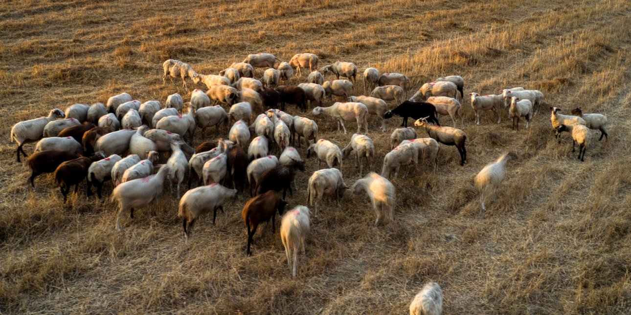 Στον Εισαγγελέα Αρείου Πάγου τα στοιχεία για την ευλογιά από τον K. Τσιάρα