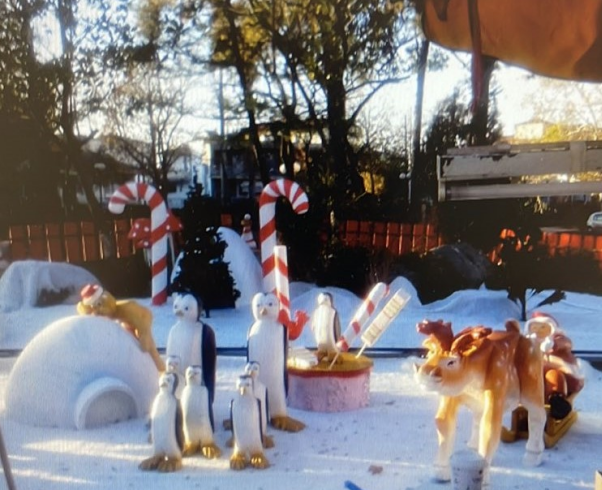 Ζωντανεύει ξανά το «Μαγεμένο Δάσος» στο Δήμο Καρδίτσας (ΦΩΤΟ)