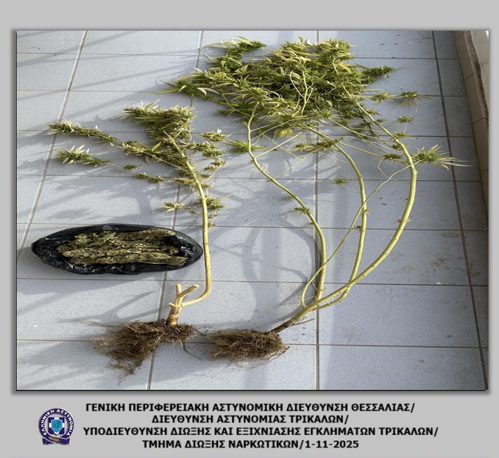 Τρικαλινός καλλιεργούσε δενδρύλλια κάνναβης στο μπαλκόνι του (ΦΩΤΟ)