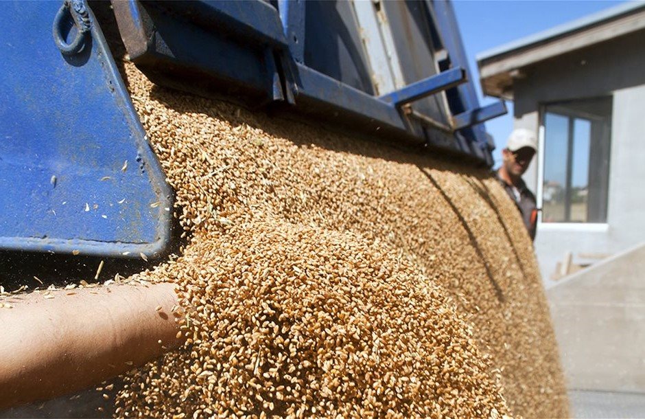 Από 24,5 ως 27,5 λεπτά τα συμβόλαια σκληρού σίτου με ΑΣ Φαρσάλων Ενιπέα