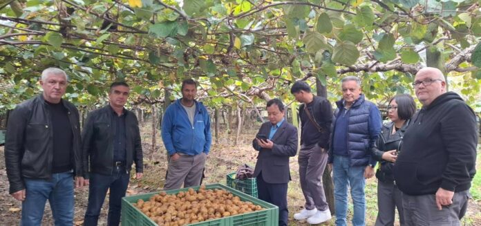 Λάρισα: Σημαντική διεθνής επιβεβαίωση για την ποιότητα των ακτινιδίων