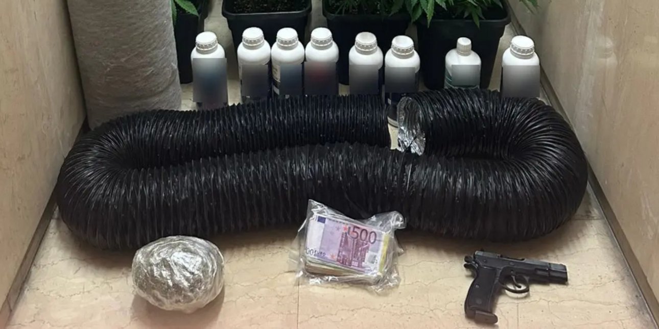 Κύκλωμα με τηλεφωνικές απάτες: Πρώην αθλήτρια της ενόργανης ανάμεσα στους 44 συλληφθέντες -Ο ρόλος του αδελφού της