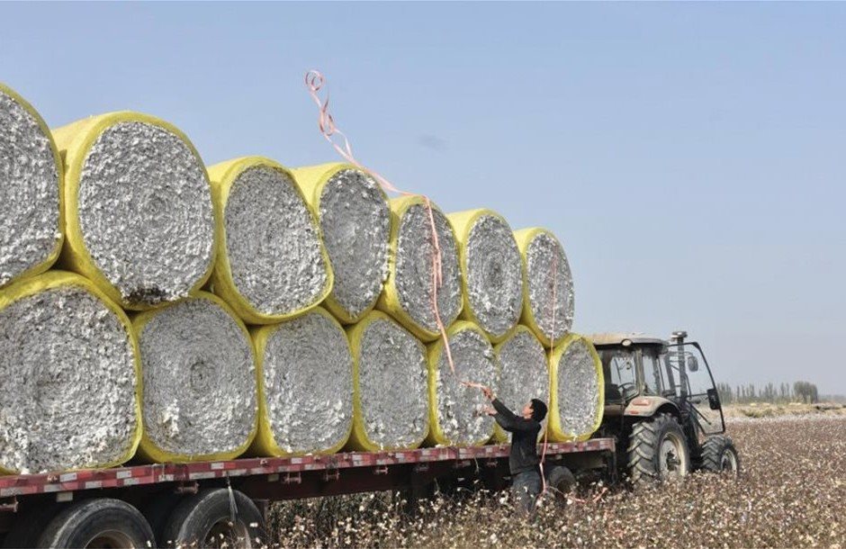 ∆ύσκολο ένα θαύµα για το βαµβάκι, παραμένει χαμηλή η ζήτηση για το εκκοκκισμένο