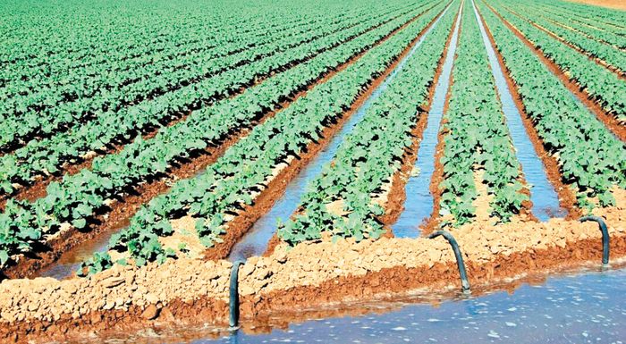 Εγκρίθηκε πίστωση 50,6 εκατ. ευρώ για την πληρωμή της Απονιτροποίησης 2025