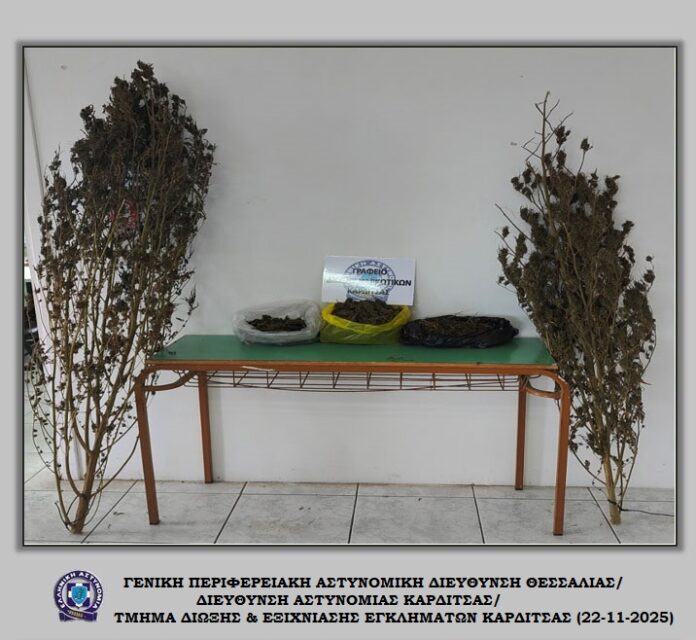 Συνελήφθη στον Παλαμά με  494 γραμ. κάνναβης και 155 γραμ. αποξηραμένων φύλλων