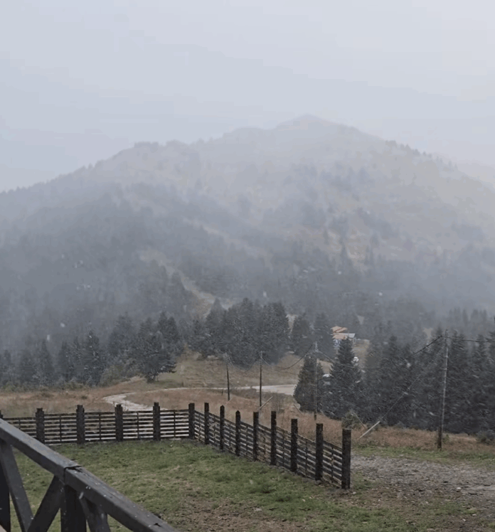 Καρδίτσα: Άρχισε η πρώτη χιονόπτωση στο ορεινό καταφύγιο των Αγράφων