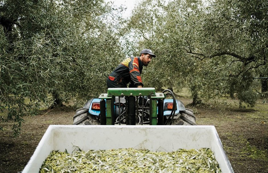 Εγγυημένο δάνειο και καθαρή επιδότηση από 8.000 έως 40.000 ευρώ για νεαρούς αγρότες ηλικίας μέχρι 40 ετών