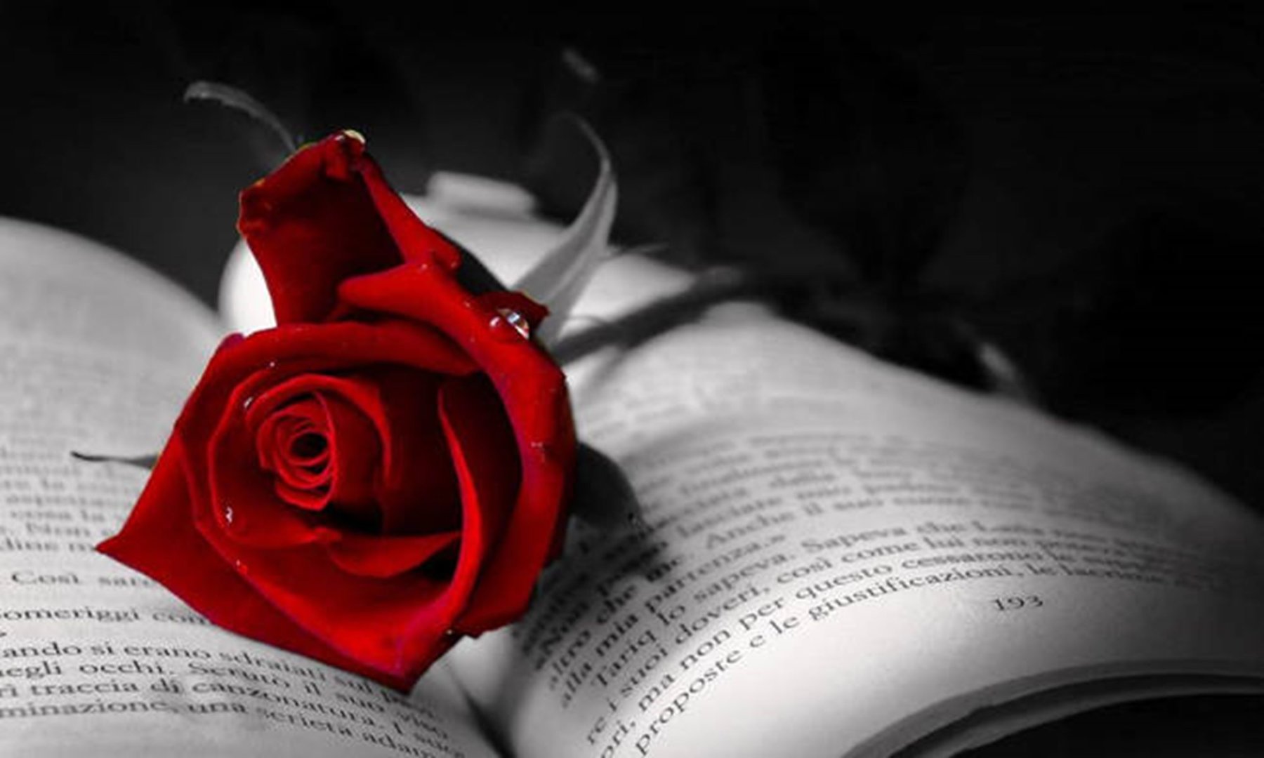 Επτά Λαρισαίοι έφυγαν από τη ζωή