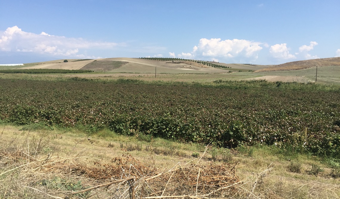 Aγρότες: Πως θα πληρωθούν φέτος και το 2026 τις επιδοτήσεις -τι προβλέπει το νέο σύστημα