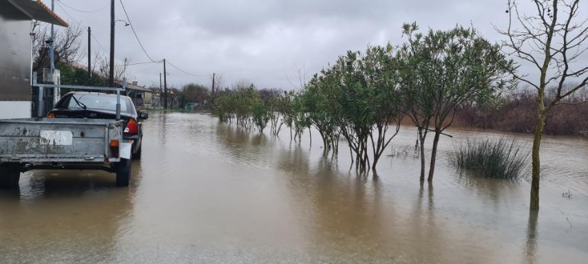 Τακούδης; Έρχεται μικρός Daniel σε Κίσαβο Πήλιο από Πέμπτη μέχρι, Κυριακή