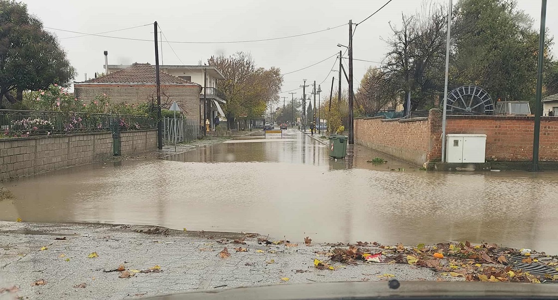 Χωρίς μεγάλα προβλήματα στην ΠΕ Λάρισας από τον Βyron: Πτώσεις δέντρων προς Γυρτώνη, Πυργετό και μικρά πλημμυρικά στη Χάλκη
