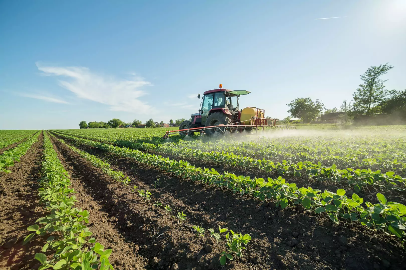 Καταργείται η βασική και αναδιανεμητική επιδότηση από το 2028. Από 14 έως 24 ευρώ το στρέμμα (video)