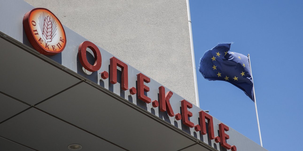 Λογιστές, δικηγόροι, αγρότες στο κύκλωμα με παράνομες επιδοτήσεις 1,7 εκατ. στην Κρήτη -Αγροτοσυνδικαλιστής ο εγκέφαλος,