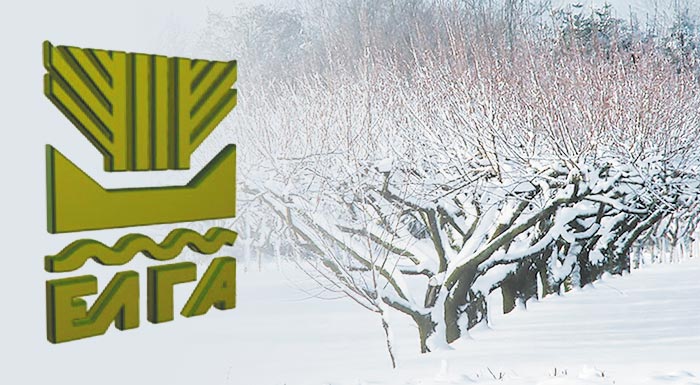 Πιστώνονται σήμερα 121 εκατ. ευρώ αποζημιώσεις από ΕΛΓΑ για παγετό 2025- 20 εκατ. ευρώ για Λάρισα