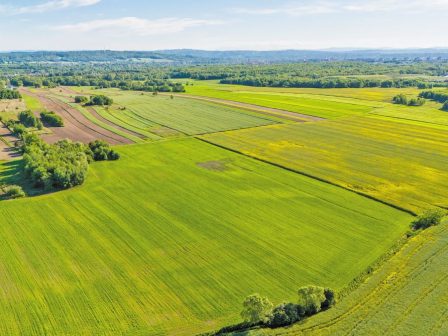 Ευρωπαϊκή γεωργία 2025-2035: Μεταβαλλόμενες ισορροπίες – Το κόστος, το κλίμα και η ζήτηση καθορίζουν την επόμενη δεκαετία