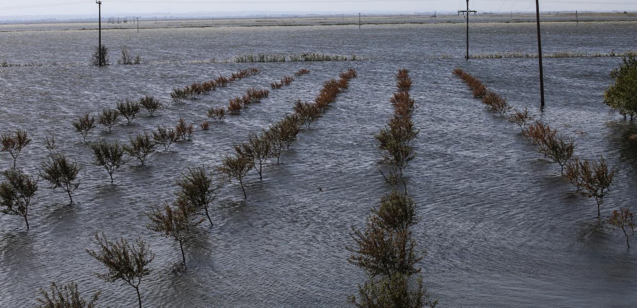 Βγήκε η εντολή πληρωμής για αποζημιώσεις στο φυτικό κεφάλαιο λόγω  Daniel-Τρίτη η πληρωμή;