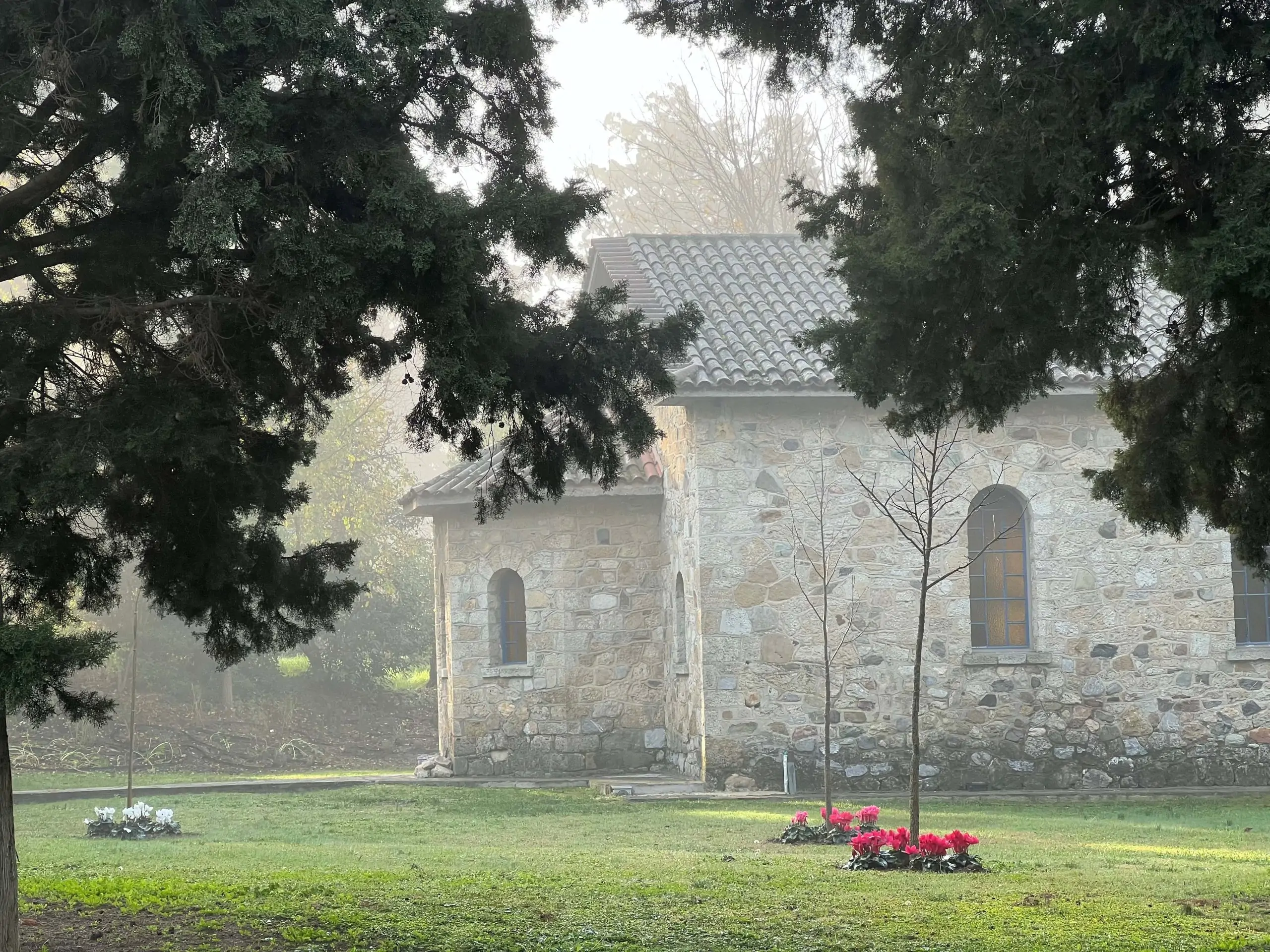 Η Ελλάδα… φυτεύεται στο campus της Αμερικάνικης Γεωργικής Σχολής