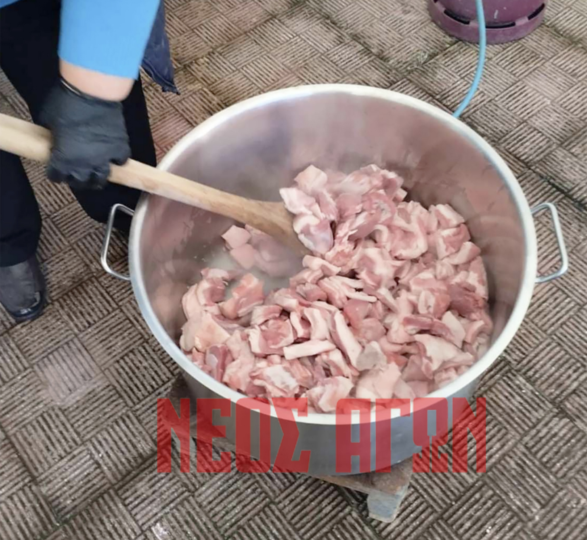 Καρδίτσα: Αναβίωσε το έθιμο της γουρουνοχαράς στη Μεταμόρφωση (ΦΩΤΟ)