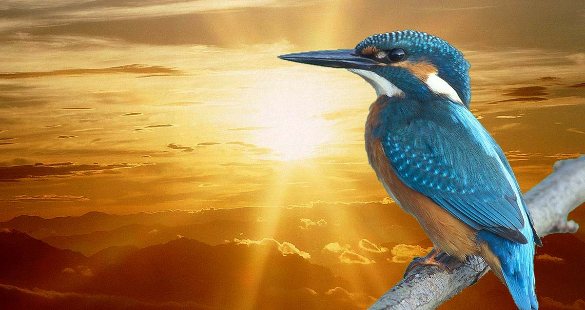 Μετά την παγωνιά έρχονται οι αλκυονίδες- από τους -4 η Λάρισα στους +18 μέγιστη το Σάββατο