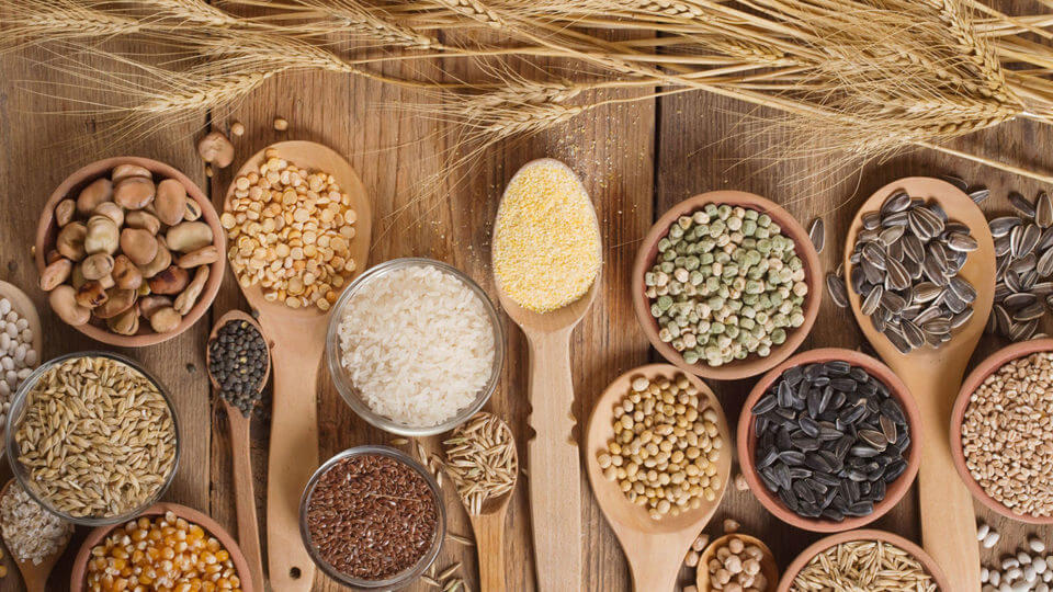 Ημερίδα με θέμα «Δημητριακά και Υγεία του Ανθρώπου» από το αγρόκτημα Αντωνόπουλου στη Λάρισα