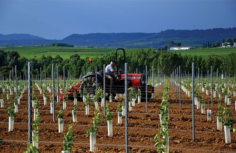 Μετά την αποκατάσταση του φυτικού κεφαλαίου η εξόφληση του υπόλοιπου 40%  απ- τον ΕΛΓΑ