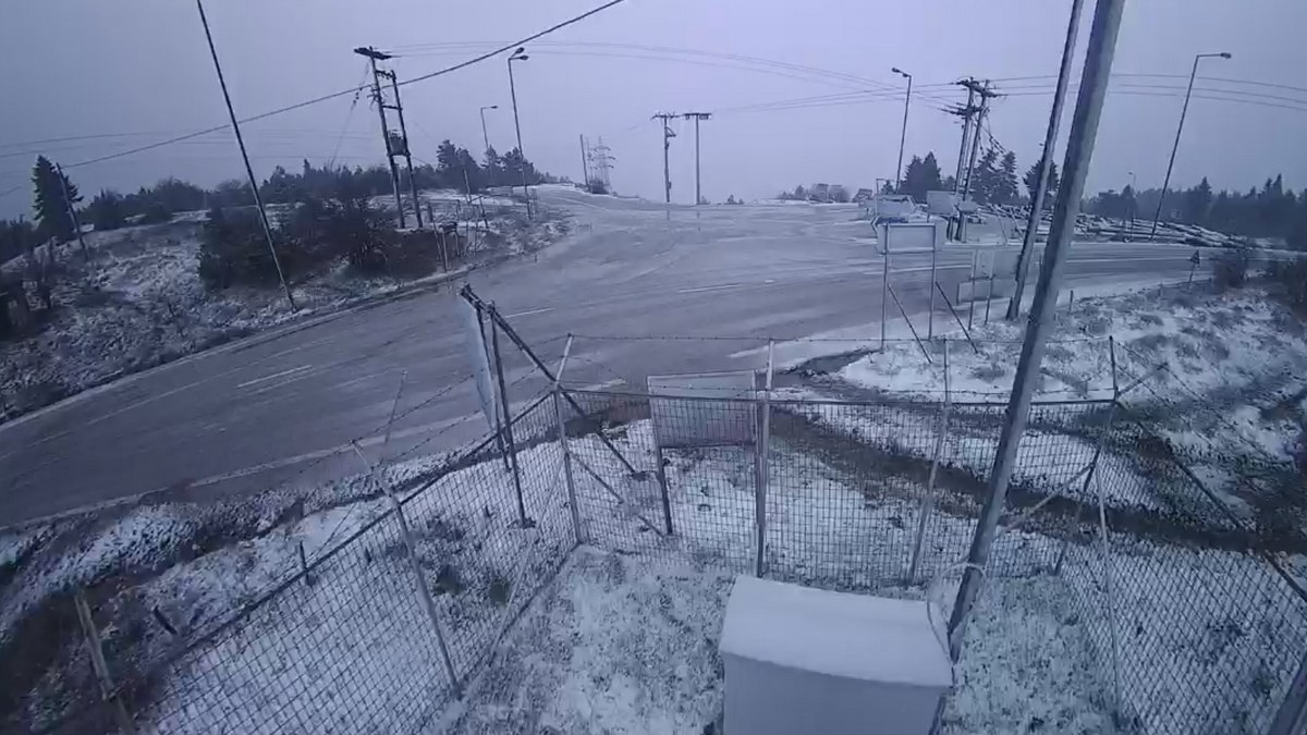 Θυελλώδεις άνεμοι και έντονη χιονόπτωση σε Φθιώτιδα και Ευρυτανία – Έπεσαν κολώνες και δέντρα